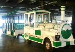 Diesel Trackless Train